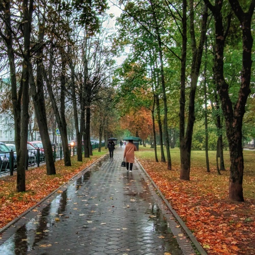 Photo #14116967