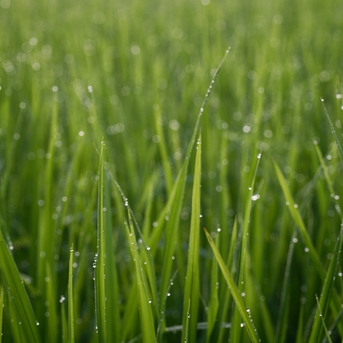 Photo #14117005