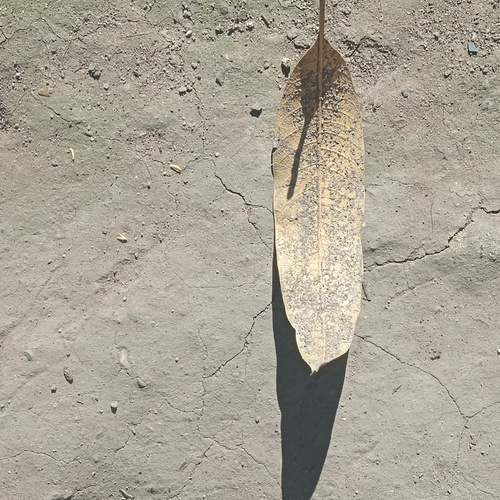 Photo #14117023