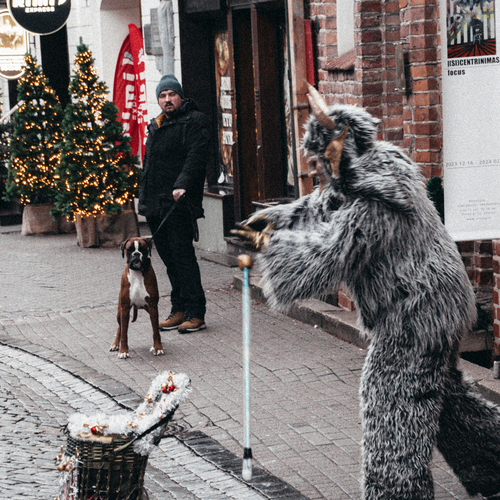 Photo #14117094