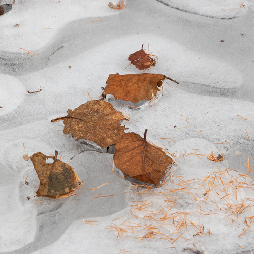 Photo #14117125