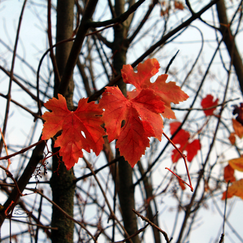 Photo #14117259