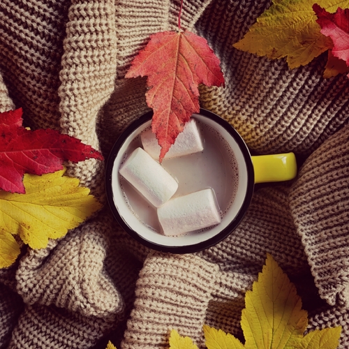 Photo #14117306