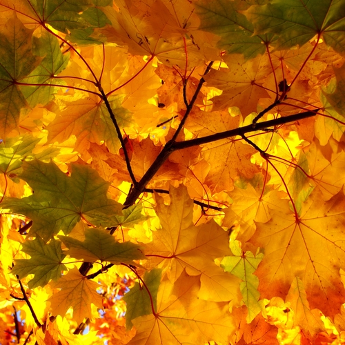 Photo #14117363