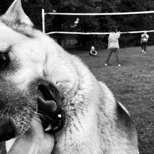Photo #14117398