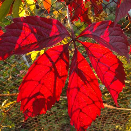 Photo #14117590