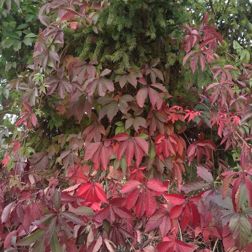 Photo #14117605