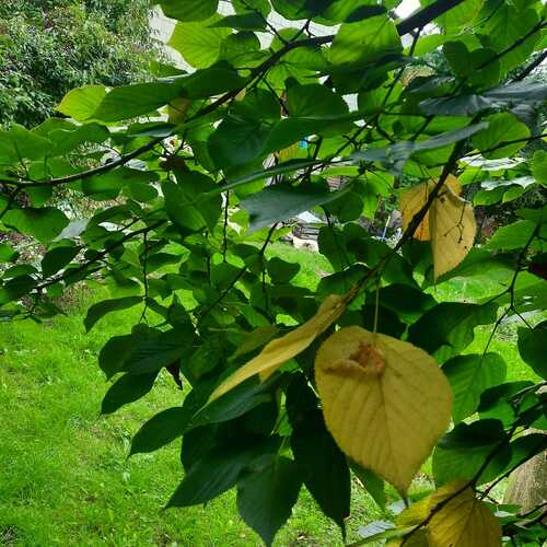 Photo #14117624