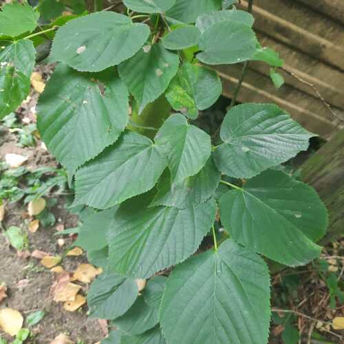 Photo #14117626