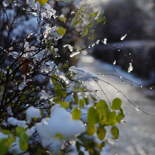 Photo #14117700