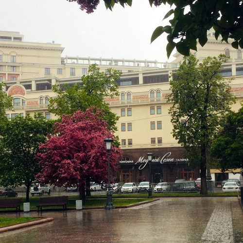 Photo #14117729