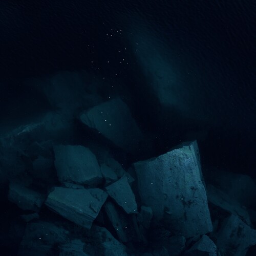 Photo #14117735