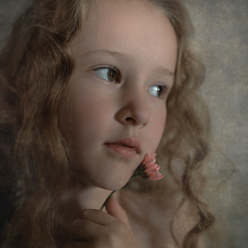 Photo #14117749