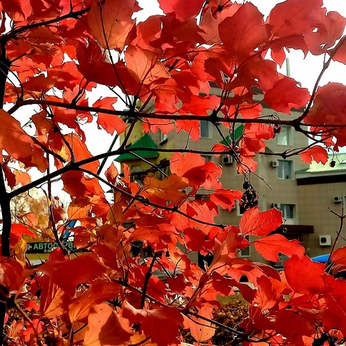 Photo #14117776