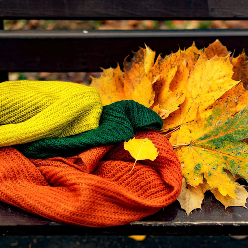 Photo #14117784