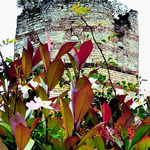 Photo #14117816