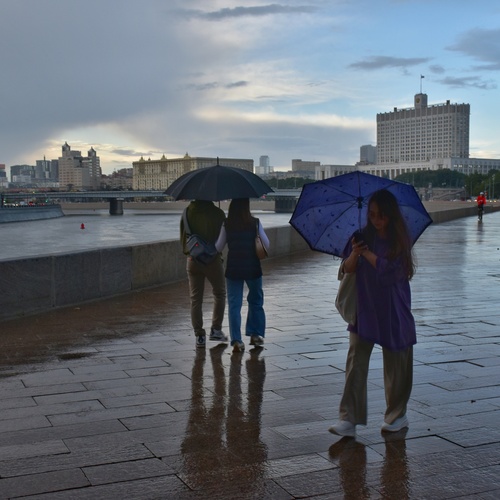 Photo #14117876