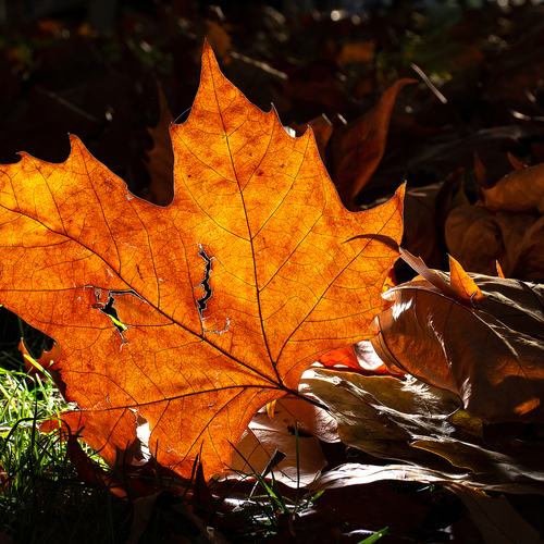 Photo #14117906
