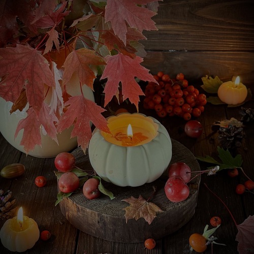 Photo #14117951