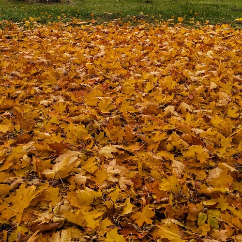 Photo #14118027