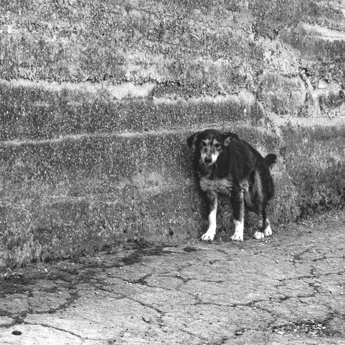 Photo #14118040