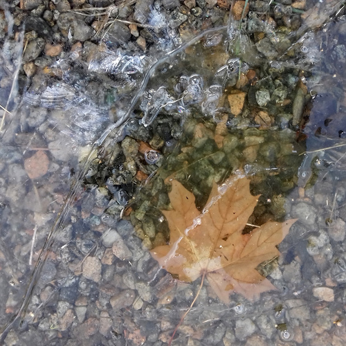 Photo #14118088