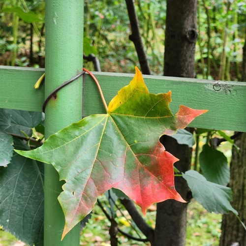 Photo #14118222