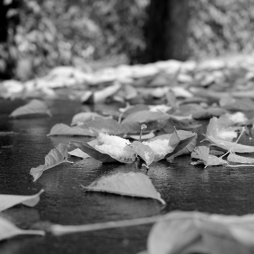 Photo #14118227