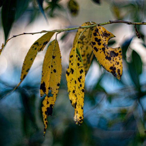 Photo #14118230