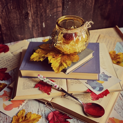Photo #14118253