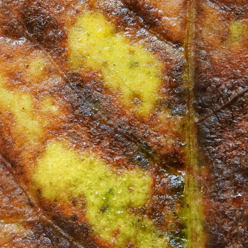 Photo #14118277