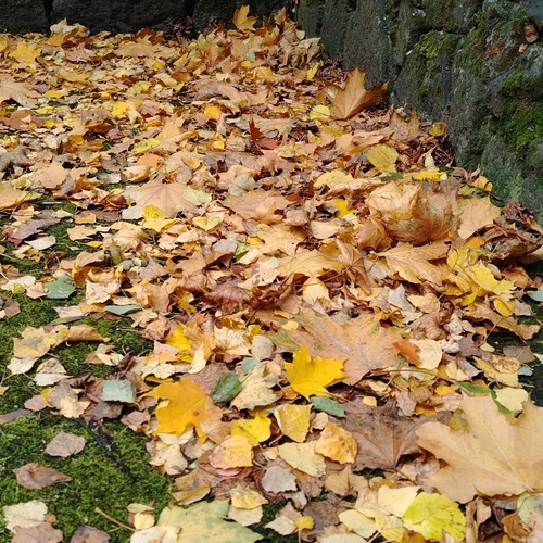 Photo #14118360