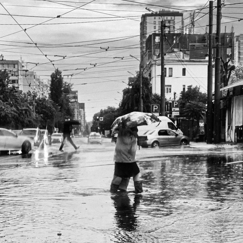 Photo #14118363