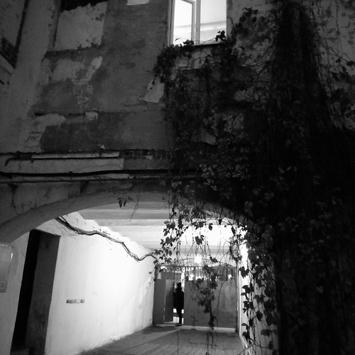 Photo #14118375
