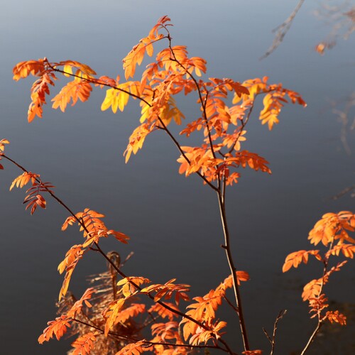 Photo #14118383