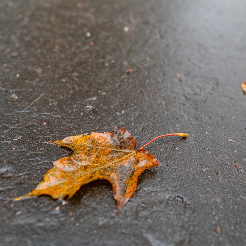 Photo #14118406
