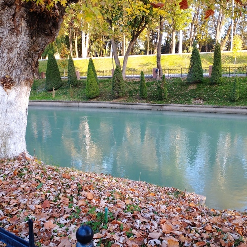 Photo #14118497