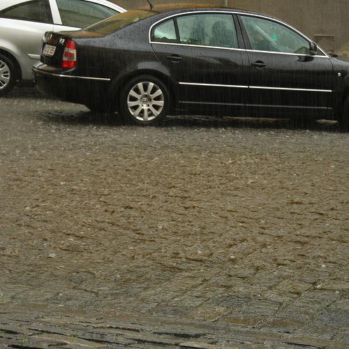 Photo #14118502