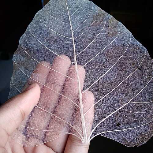 Photo #14118517