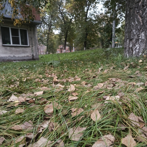 Photo #14118538