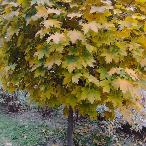 Photo #14118550