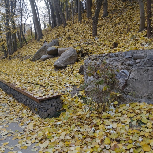 Photo #14118551