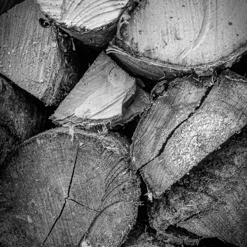 Photo #14118656