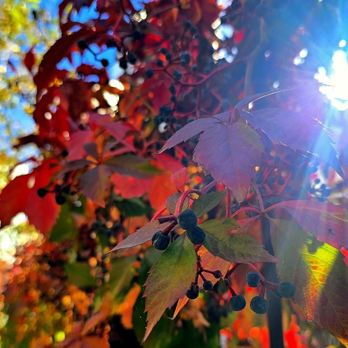 Photo #14118681