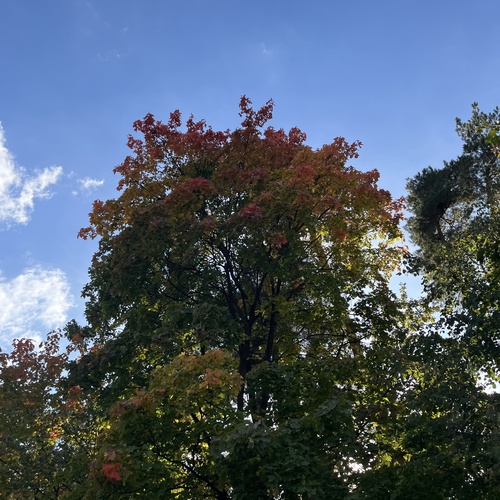 Photo #14118685