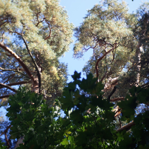 Photo #14118687