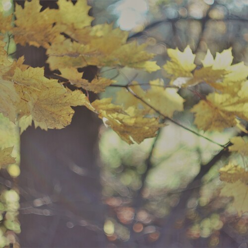 Photo #14118701