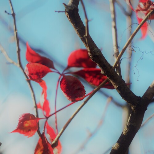 Photo #14118708