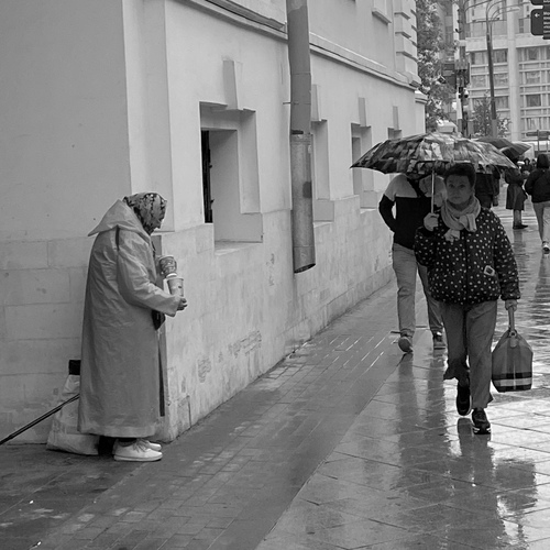 Photo #14118828