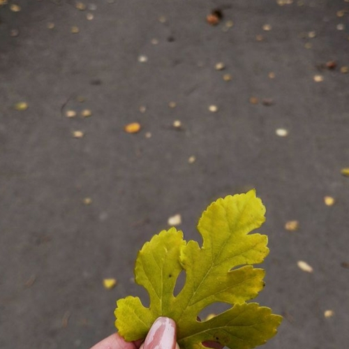 Photo #14118842